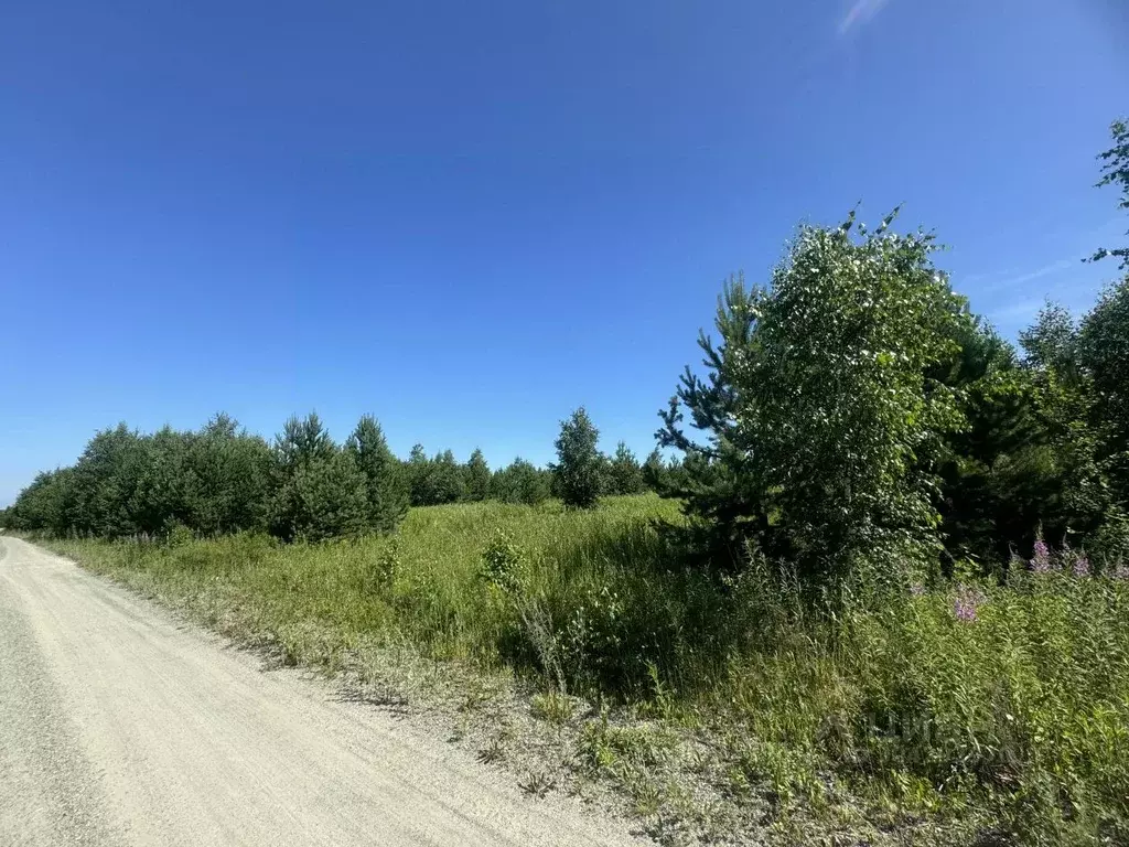Участок в Свердловская область, Горноуральский городской округ, с. ... - Фото 0