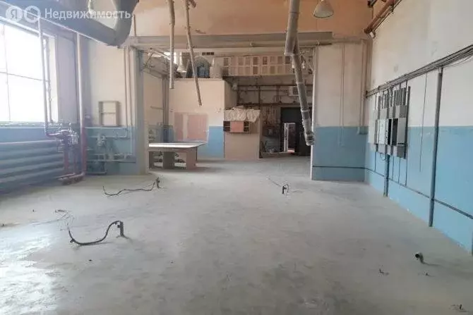 Помещение свободного назначения (206 м) - Фото 1