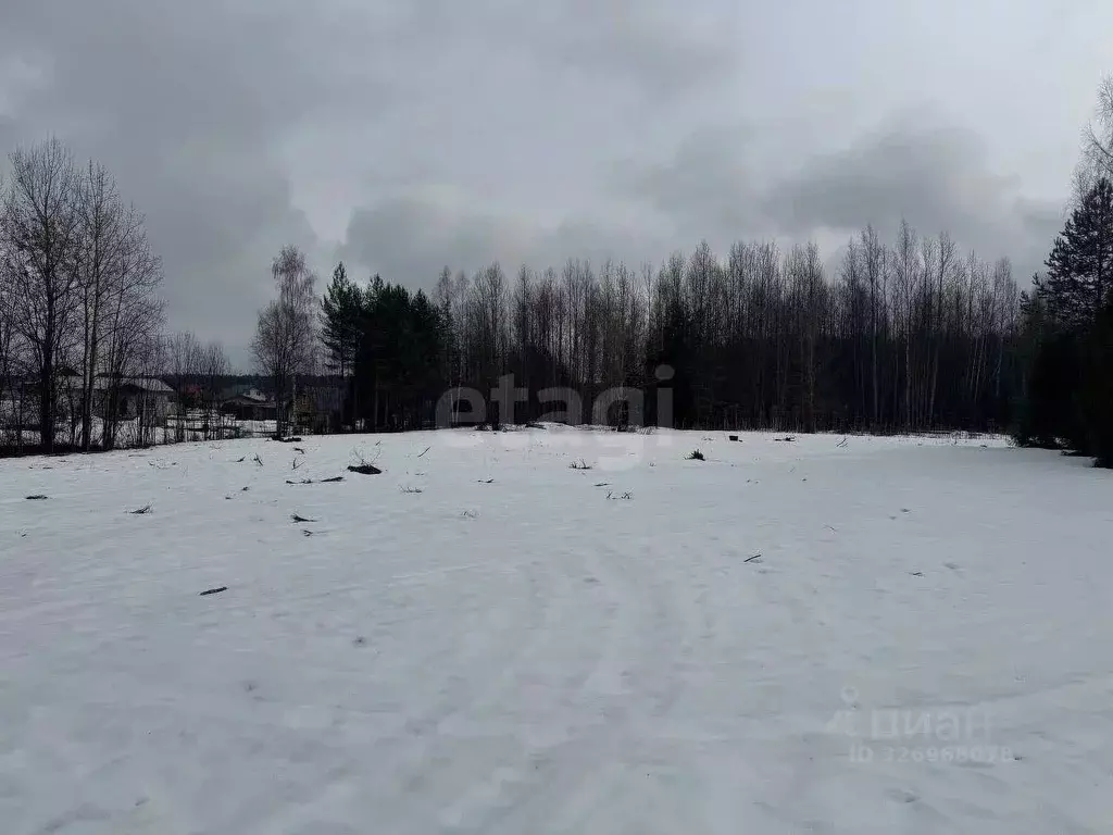 Участок в Кировская область, Кирово-Чепецкий район, Пасеговское с/пос, ... - Фото 2