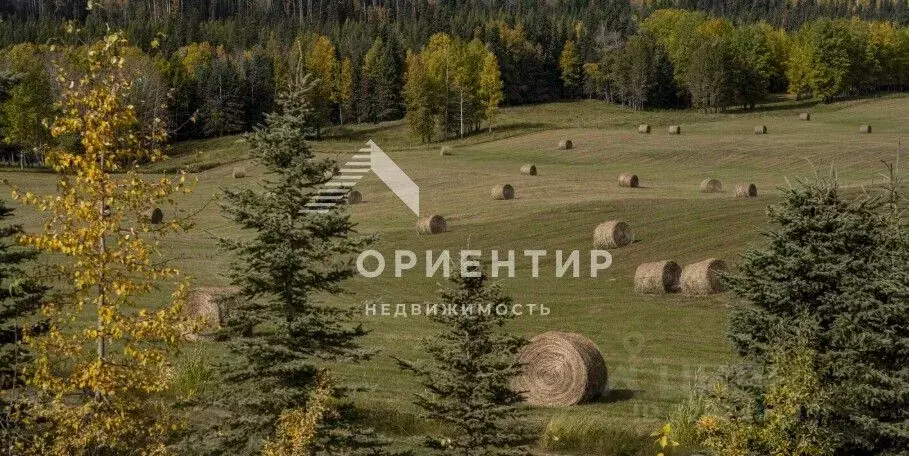 Участок в Свердловская область, Полевской муниципальный округ, пос. ... - Фото 1