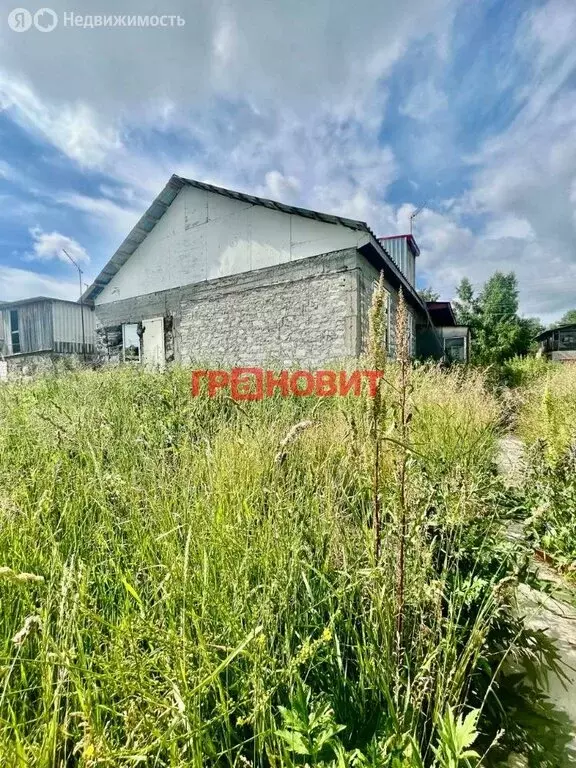 Участок в Новый Шарап, Лесная улица, 26 (20 м) - Фото 1