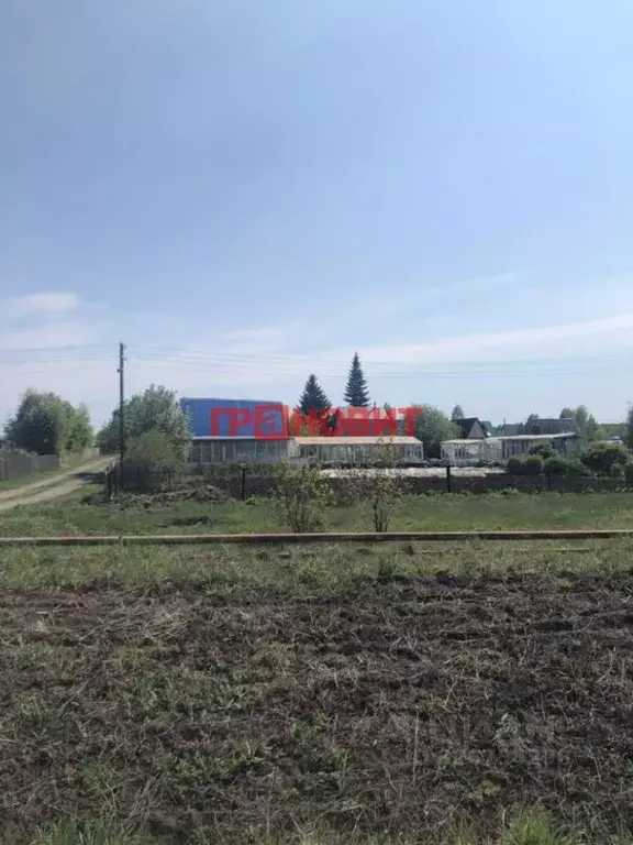 Участок в Новосибирская область, Коченевский район, Ветеран-1 ДНТ 665 ... - Фото 1