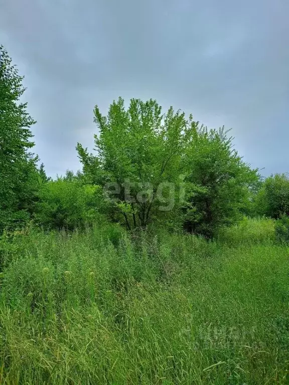 Участок в Амурская область, Благовещенский район, с. Владимировка  ... - Фото 0