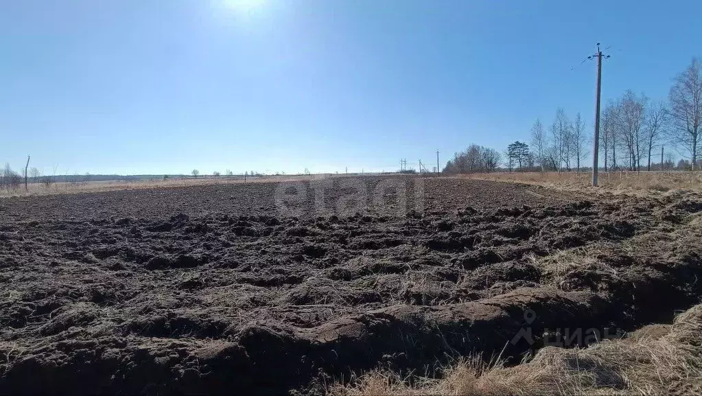 Участок в Смоленская область, Смоленский муниципальный округ, пос. ... - Фото 1