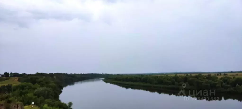 Участок в Рязанская область, Спасский муниципальный округ, с. Троица  ... - Фото 1