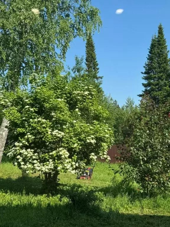 Участок в Томская область, Томск пос. Родионово, ул. 1000-летия Руси ... - Фото 1