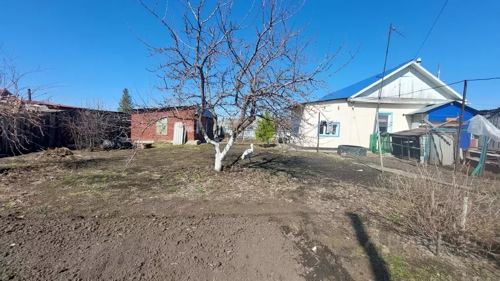 Дом в Омская область, Азовский Немецкий Национальный район, с. ... - Фото 1
