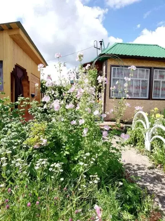 Участок в Томск, садовое товарищество Зорька, 11-я улица (6 м) - Фото 2