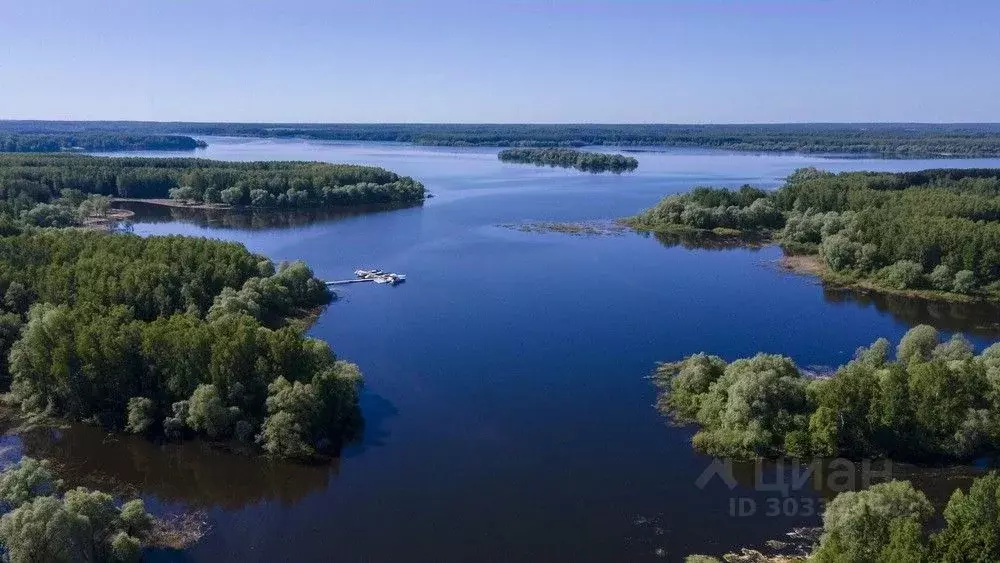 Участок в Московская область, Можайский городской округ, д. Семейники ... - Фото 1