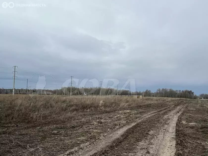 Участок в Тюменский район, деревня Большие Акияры (8 м) - Фото 1