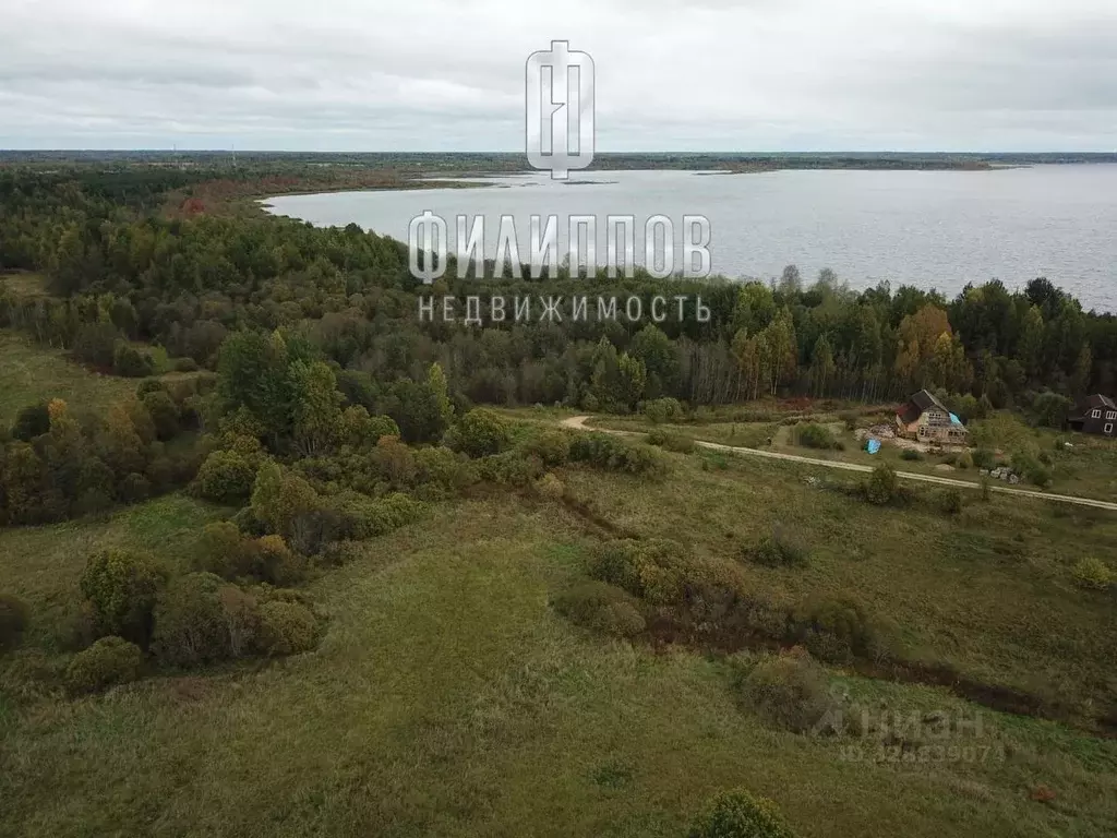 Участок в Новгородская область, Боровичский район, Железковское с/пос, ... - Фото 1