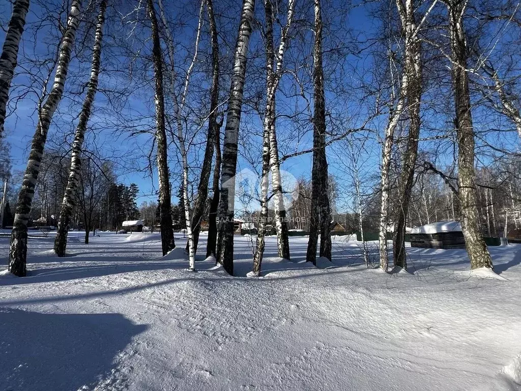 Участок в Новосибирская область, Новосибирский район, Барышевский ... - Фото 2