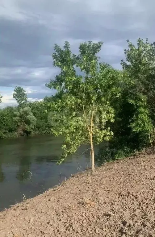 Участок в Ростовская область, Аксайский район, Старочеркасская ст-ца  ... - Фото 1