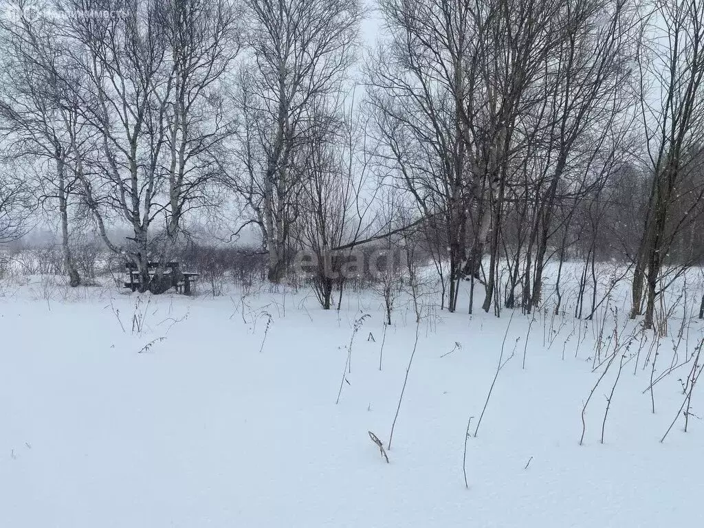 Участок в Новоавачинское сельское поселение, посёлок Двуречье (15 м) - Фото 0