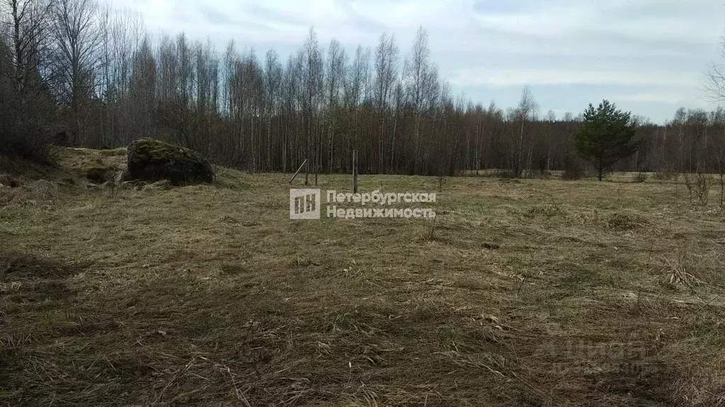 Участок в Ленинградская область, Выборгский район, Селезневское с/пос, ... - Фото 0