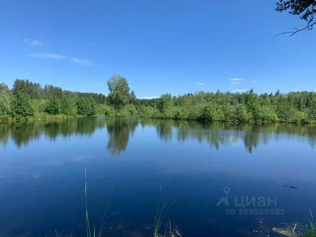 Участок в Татарстан, Зеленодольский район, Айшинское с/пос, Лесной ... - Фото 1