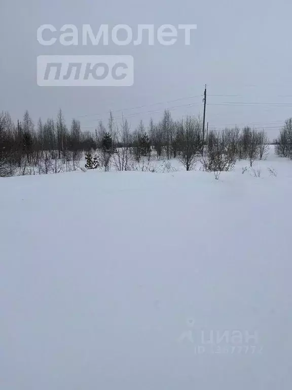 Участок в Владимирская область, Суздальский район, Новоалександровское ... - Фото 1