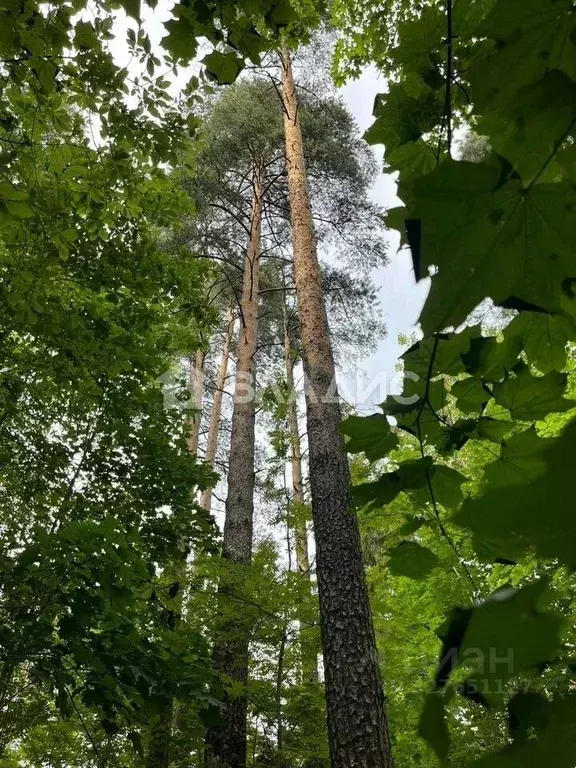 Участок в Ленинградская область, Всеволожск ул. Гоголя, 57 (20.0 сот.) - Фото 1
