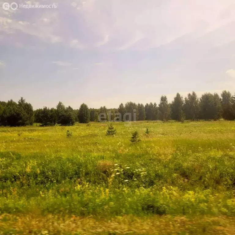 Участок в округ Муром, деревня Коржавино (15.07 м) - Фото 1