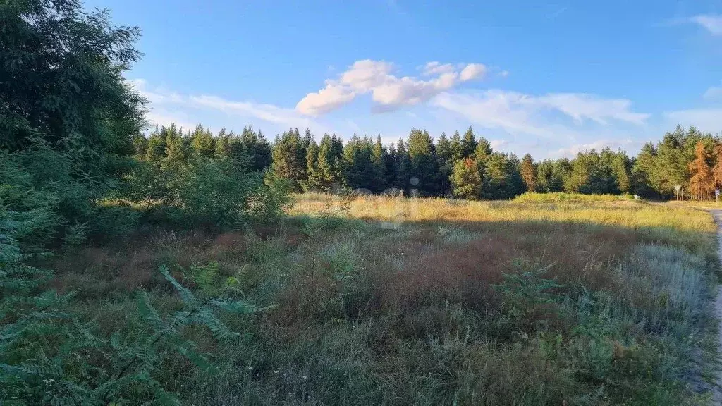 Участок в Белгородская область, Волоконовка рп ул. Буденного (10.0 ... - Фото 1