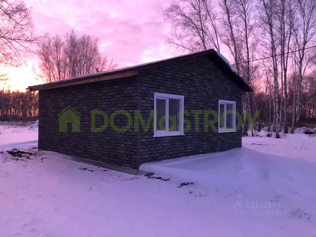 Дом в Новосибирская область, Новосибирский район, с. Толмачево  (42 м) - Фото 1