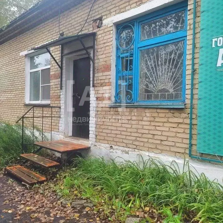 Помещение свободного назначения в Челябинская область, с. Чесма ул. ... - Фото 1