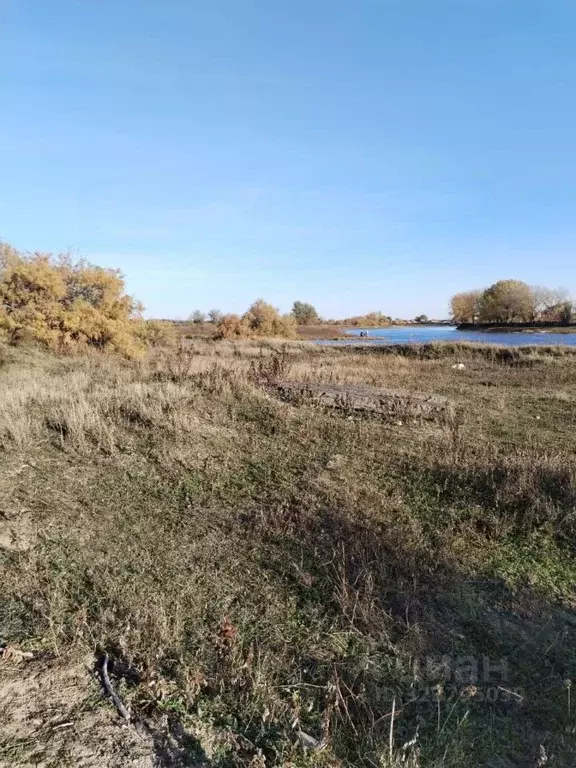 Участок в Астраханская область, пос. Володарский ул. Суворова (6.0 ... - Фото 1