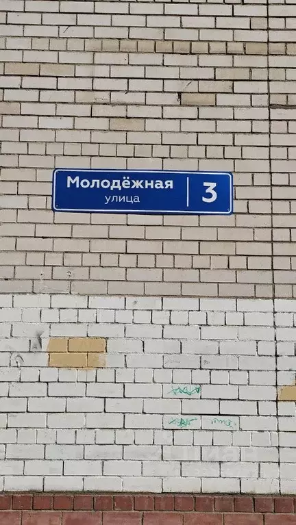 3-к кв. Московская область, Солнечногорск ул. Молодежная, 3 (87.0 м) - Фото 1