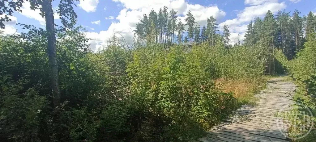 Участок в Ленинградская область, Всеволожск пер. Семейный, 1 (6.0 ... - Фото 2