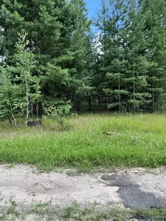 Участок в Курганская область, Кетовский муниципальный округ, с. ... - Фото 1