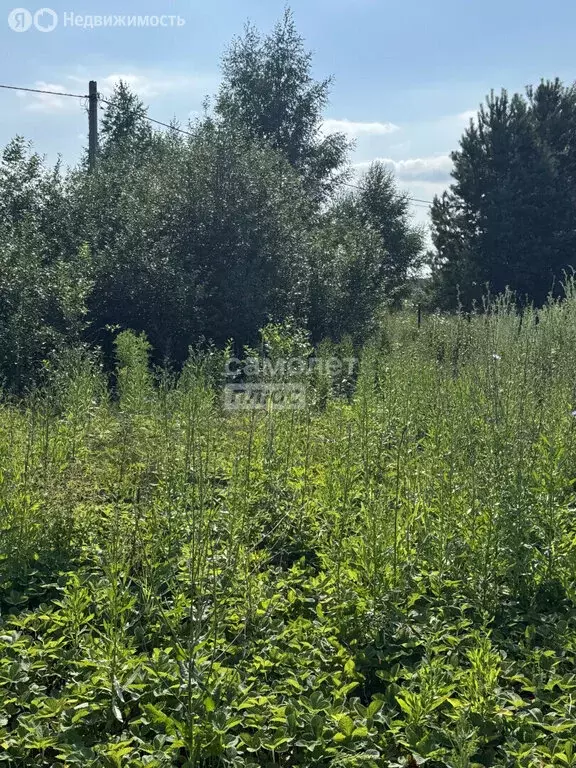 Участок в Булгаковский сельсовет (14.94 м) - Фото 1