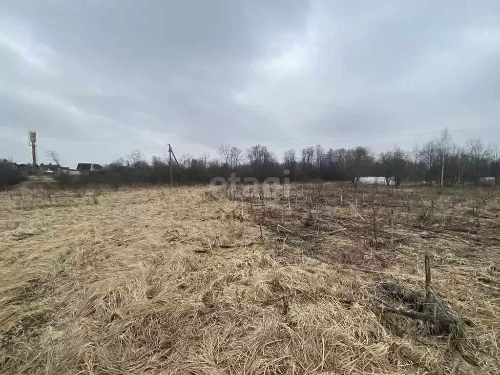 Участок в Ярославская область, Ярославский муниципальный округ, с. ... - Фото 1