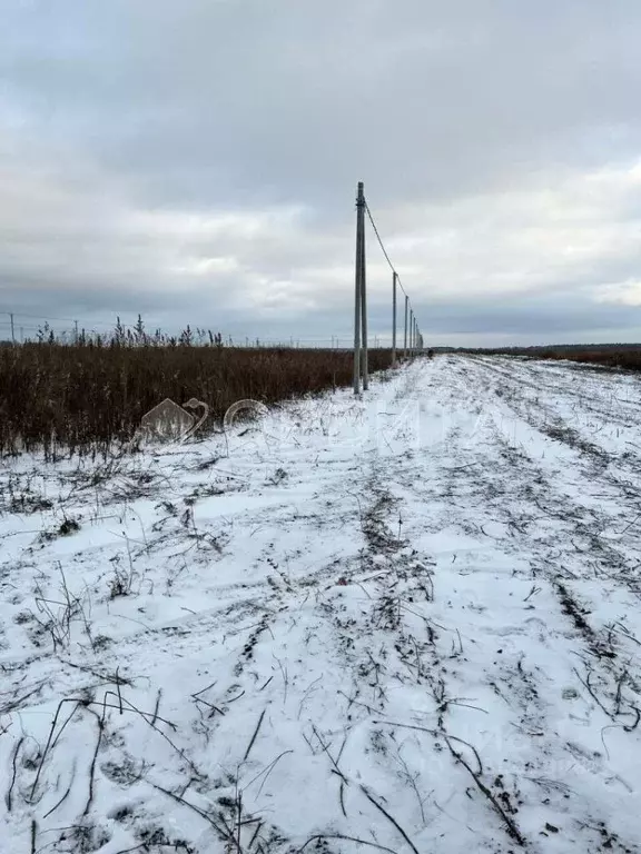 Участок в Тюменская область, Тюменский район, д. Малиновка ул. ... - Фото 1