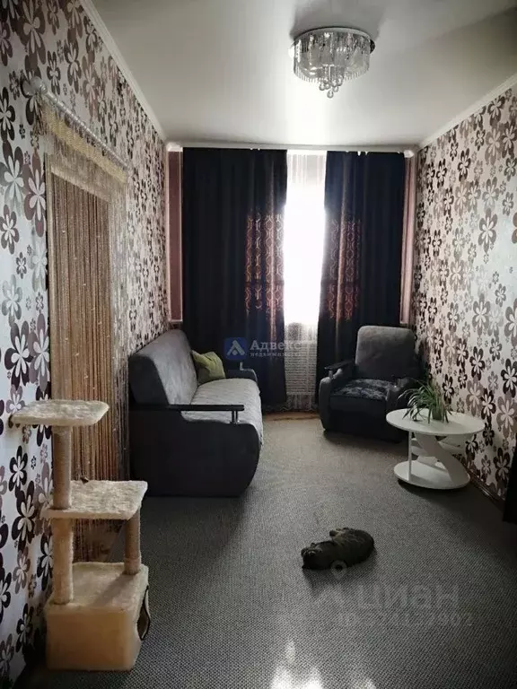 3-к кв. Тюменская область, с. Викулово ул. Солнечная, 1 (68.8 м) - Фото 1