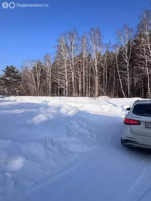 Участок в Барышевский сельсовет, садовое товарищество Ключи-4 Западные ... - Фото 2