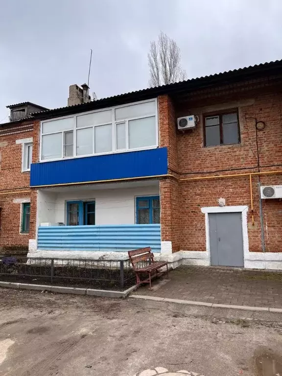 3-к кв. Воронежская область, Ольховатка рп ул. Никитина, 14 (60.1 м) - Фото 1