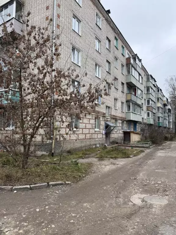 1-к кв. Владимирская область, Гусь-Хрустальный Теплицкий просп., 58 ... - Фото 1