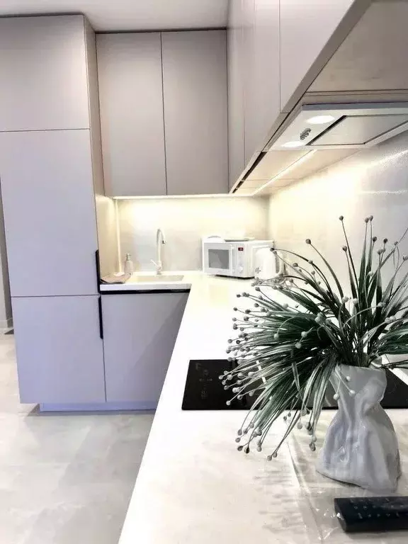 2-к кв. Новосибирская область, Новосибирск Дачная ул., 42 (62.6 м) - Фото 1