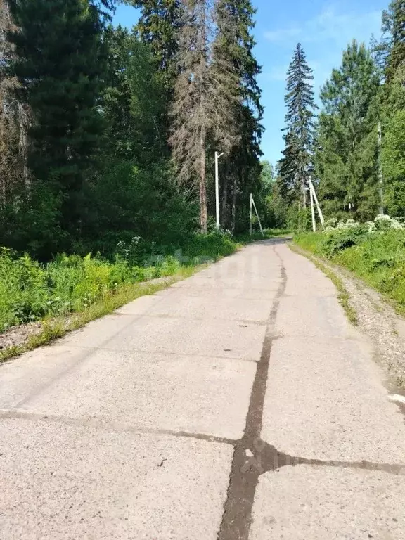 Участок в Томская область, Томский район, д. Кандинка ул. Сибирская ... - Фото 1