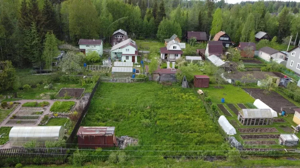 Участок в Ленинградская область, Приозерский район, Ларионовское ... - Фото 1