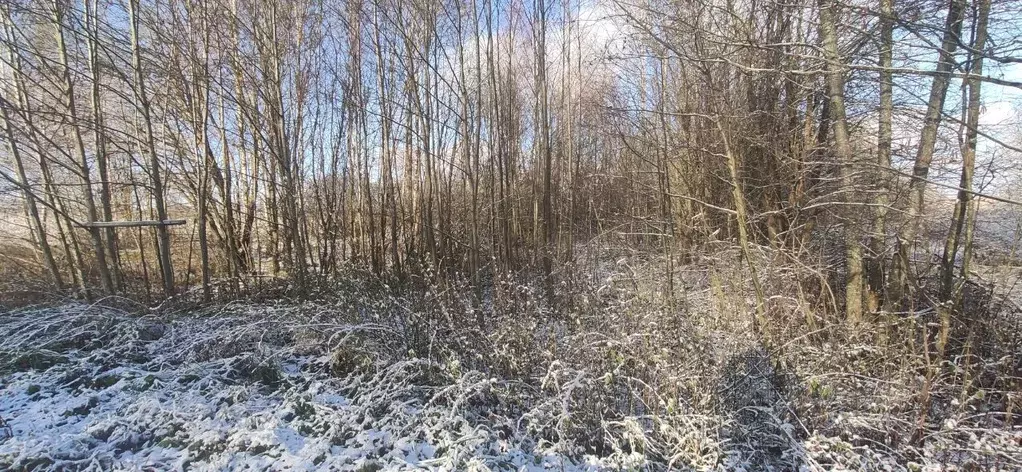 Участок в Московская область, Талдомский городской округ, д. Измайлово ... - Фото 0