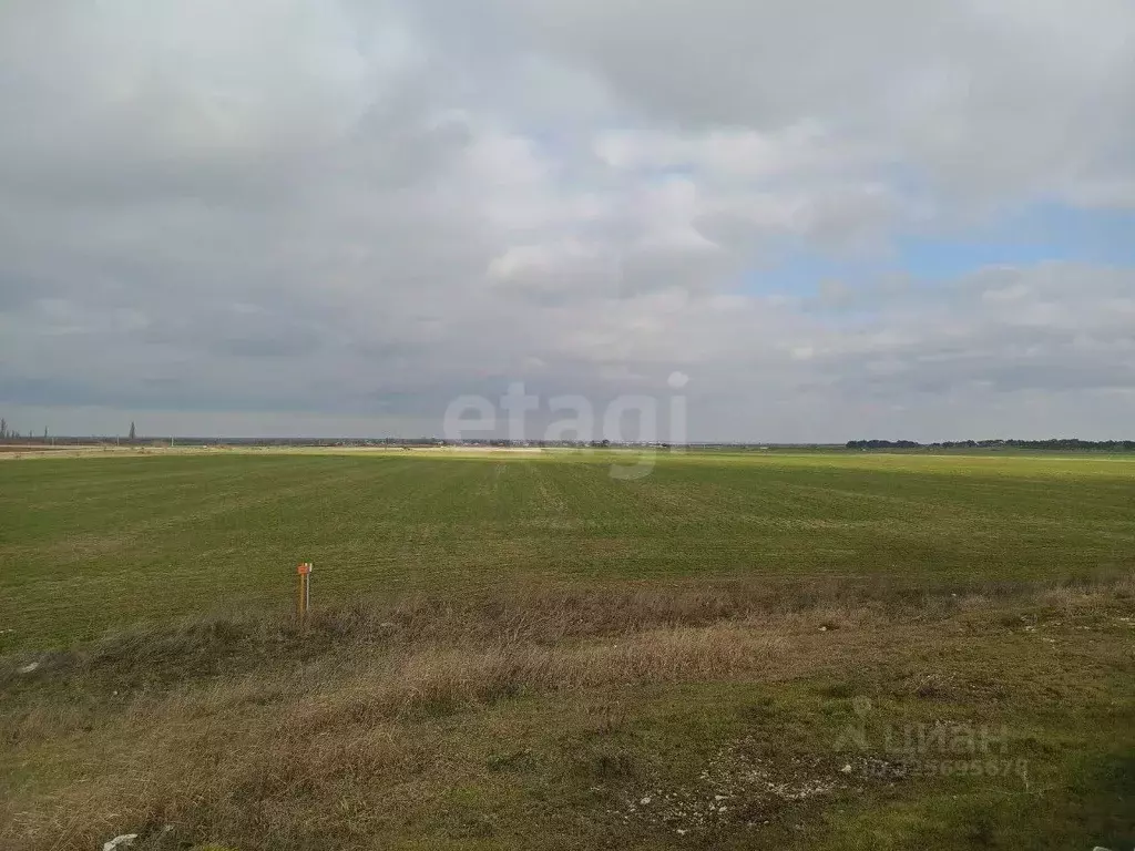 Участок в Крым, Кировский район, Абрикосовское с/пос, с. Матросовка ... - Фото 1