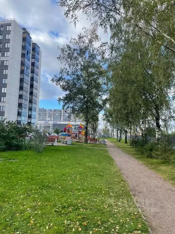 Студия Ленинградская область, Ломоносовский район, Аннинское городское ... - Фото 2