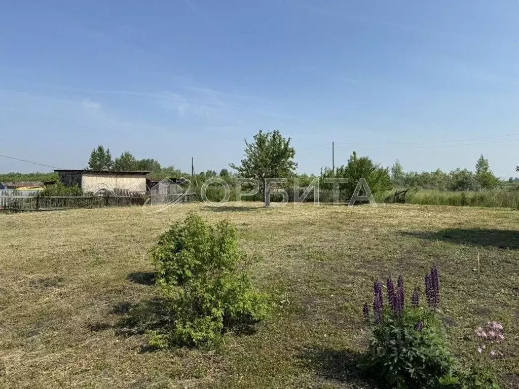 Участок в Тюменская область, Тюменский муниципальный округ, ... - Фото 1