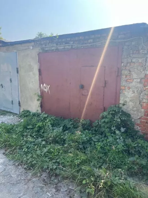 Гараж в Пензенская область, Пенза ул. Литвинова Поляна, 1Г (19 м) - Фото 1