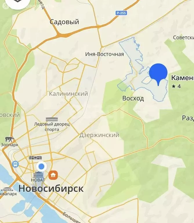 Участок в Новосибирский район, Каменский сельсовет, село Каменка (9.6 ... - Фото 1