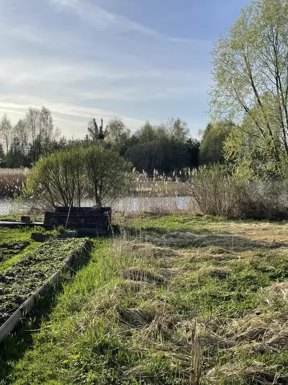 Участок в Тверская область, Конаковский муниципальный округ, д. ... - Фото 0