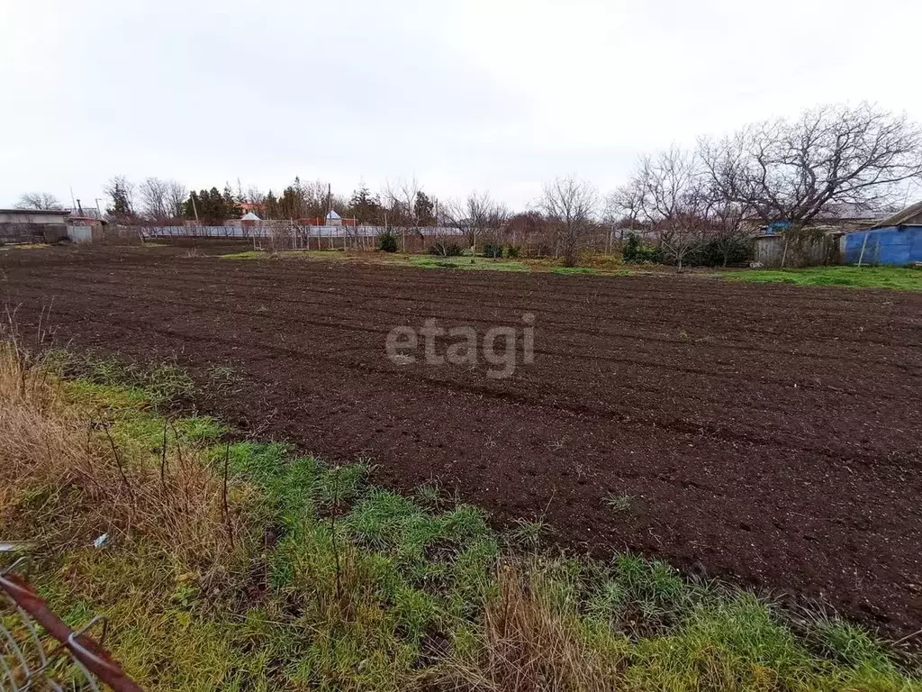 Участок в Краснодарский край, Ейский район, Кухаривское с/пос, с. ... - Фото 2