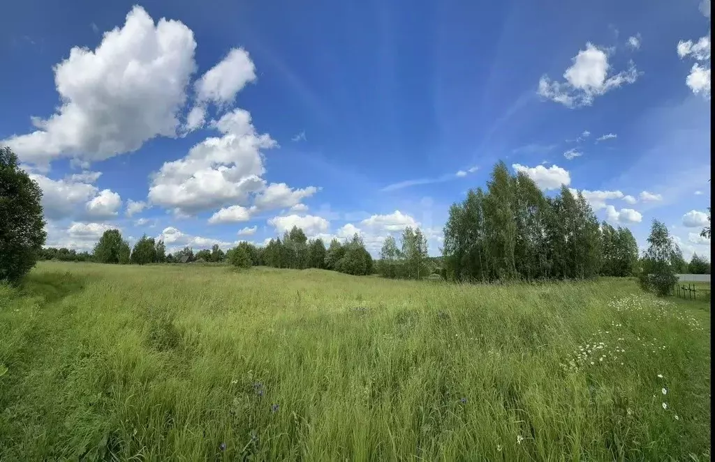 Участок в Ярославская область, Тутаевский муниципальный округ, д. ... - Фото 2