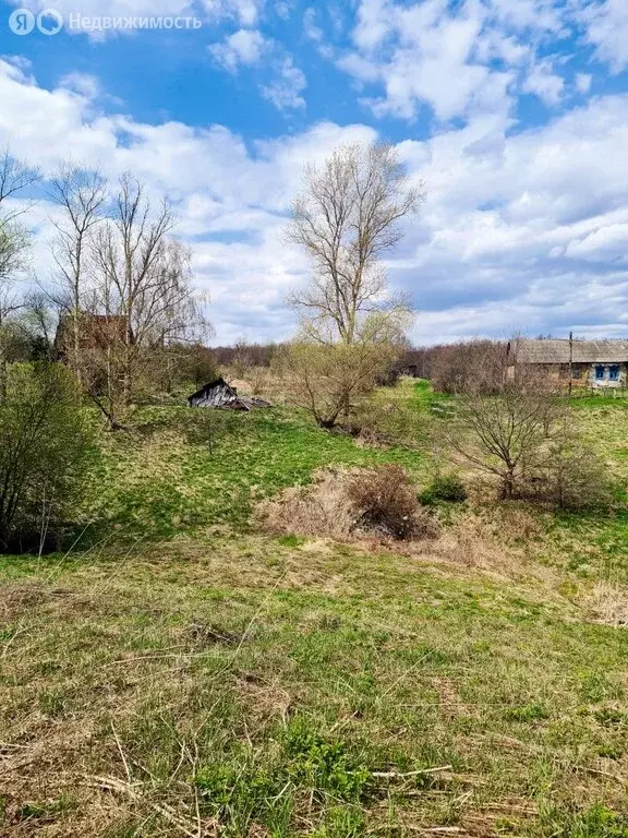 Участок в Калужская область, Перемышльский муниципальный округ, ... - Фото 1